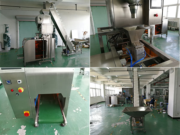 大型自動食品包裝機設(shè)備實拍圖